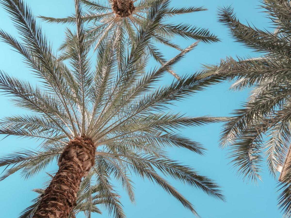 Palm Beach Club Hotel Casteldaccia Dış mekan fotoğraf